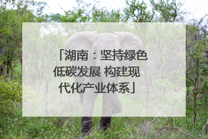 湖南：坚持绿色低碳发展 构建现代化产业体系