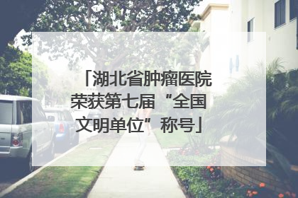 湖北省肿瘤医院荣获第七届“全国文明单位”称号