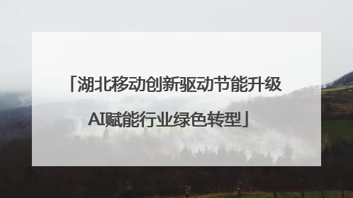 湖北移动创新驱动节能升级 AI赋能行业绿色转型