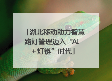 湖北移动助力智慧路灯管理迈入“AI＋灯链”时代