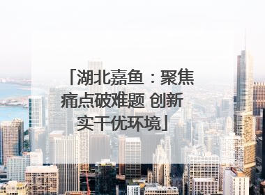 湖北嘉鱼：聚焦痛点破难题 创新实干优环境