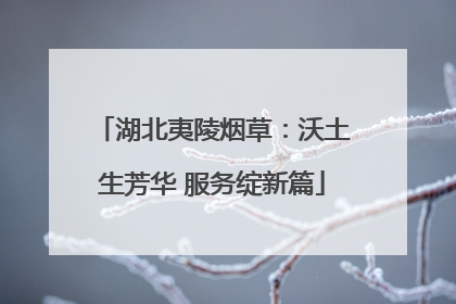 湖北夷陵烟草：沃土生芳华 服务绽新篇