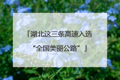 湖北这三条高速入选“全国美丽公路”