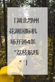 湖北鄂州花湖国际机场开通4条“荔枝航线”