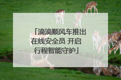 滴滴顺风车推出在线安全员 开启行程智能守护
