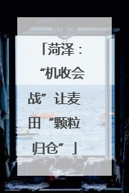 菏泽：“机收会战”让麦田“颗粒归仓”