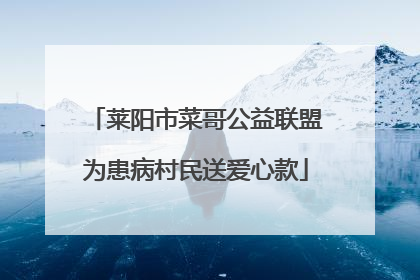 莱阳市菜哥公益联盟为患病村民送爱心款