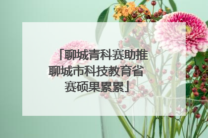 聊城青科赛助推聊城市科技教育省赛硕果累累