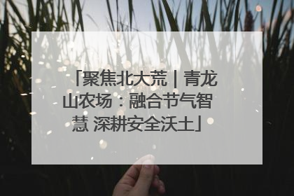 聚焦北大荒｜青龙山农场：融合节气智慧 深耕安全沃土