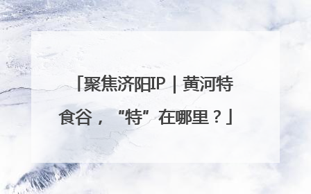 聚焦济阳IP｜黄河特食谷，“特”在哪里？