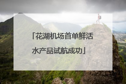 花湖机场首单鲜活水产品试航成功