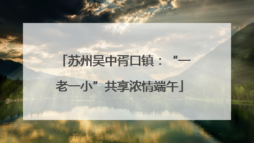苏州吴中胥口镇：“一老一小”共享浓情端午