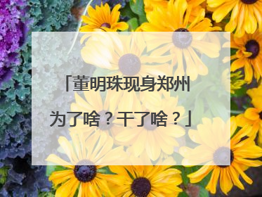 董明珠现身郑州 为了啥？干了啥？