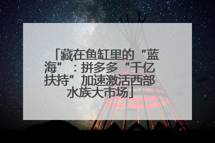藏在鱼缸里的“蓝海”：拼多多“千亿扶持”加速激活西部水族大市场