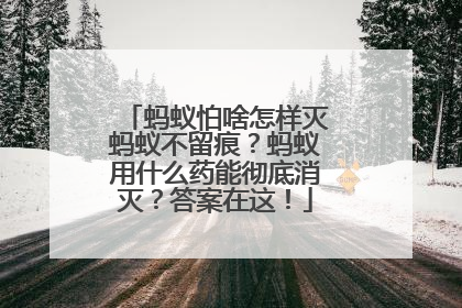 蚂蚁怕啥怎样灭蚂蚁不留痕？蚂蚁用什么药能彻底消灭？答案在这！
