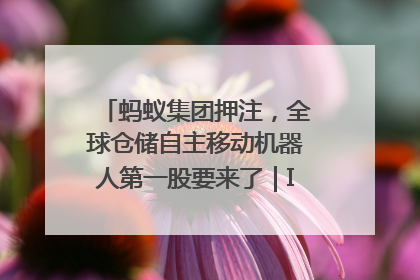 蚂蚁集团押注，全球仓储自主移动机器人第一股要来了｜IPO直通车