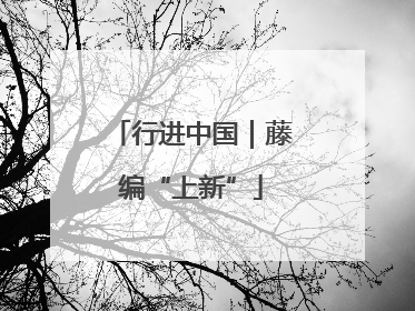行进中国｜藤编“上新”