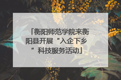衡阳师范学院来衡阳县开展“入企下乡”科技服务活动