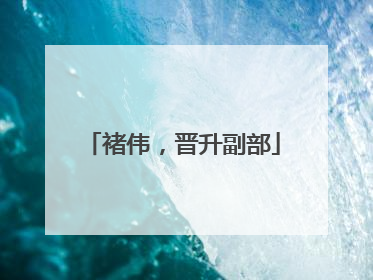 褚伟，晋升副部