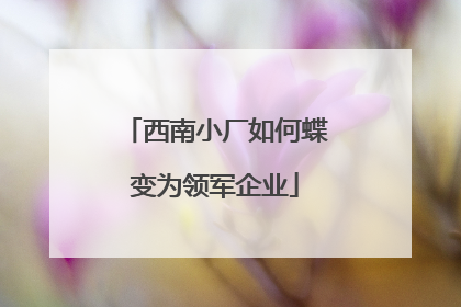 西南小厂如何蝶变为领军企业