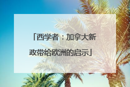 西学者：加拿大新政带给欧洲的启示