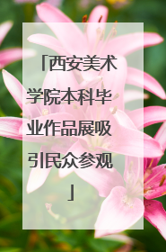 西安美术学院本科毕业作品展吸引民众参观