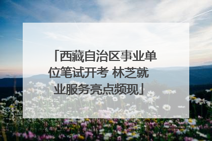 西藏自治区事业单位笔试开考 林芝就业服务亮点频现