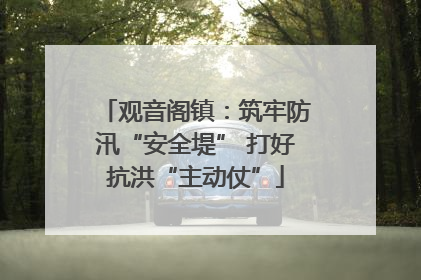 观音阁镇：筑牢防汛“安全堤” 打好抗洪“主动仗”