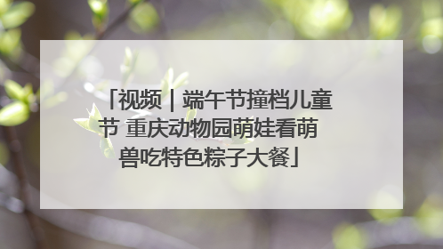 视频｜端午节撞档儿童节 重庆动物园萌娃看萌兽吃特色粽子大餐