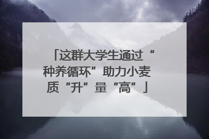 这群大学生通过“种养循环”助力小麦质“升”量“高”