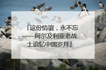 这份情谊，永不忘——阿尔及利亚老战士追忆中国岁月