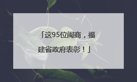 这95位闽商，福建省政府表彰！