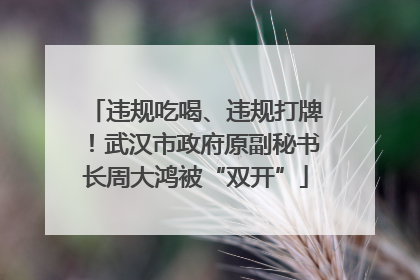 违规吃喝、违规打牌！武汉市政府原副秘书长周大鸿被“双开”