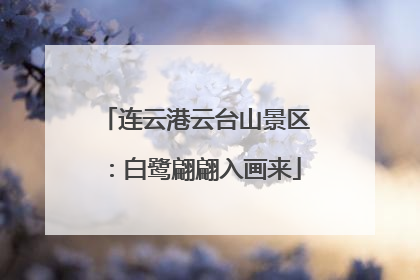 连云港云台山景区：白鹭翩翩入画来