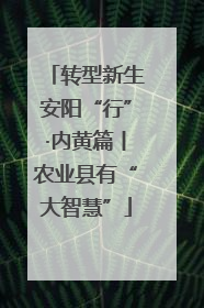 转型新生安阳“行”·内黄篇丨农业县有“大智慧”