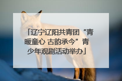 辽宁辽阳共青团“青暖童心 古韵承今”青少年观剧活动举办