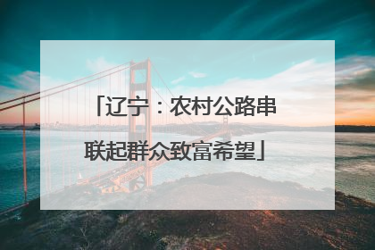 辽宁：农村公路串联起群众致富希望