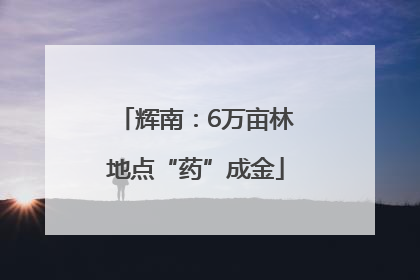 辉南：6万亩林地点“药”成金