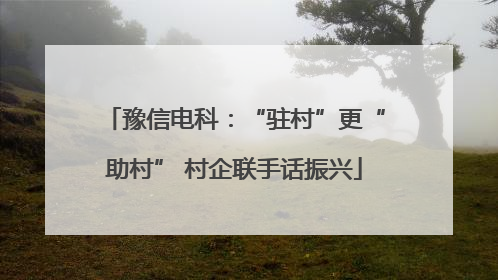 豫信电科：“驻村”更“助村” 村企联手话振兴