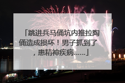 跳进兵马俑坑内推拉陶俑造成损坏！男子抓到了，患精神疾病……