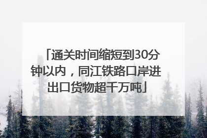 通关时间缩短到30分钟以内，同江铁路口岸进出口货物超千万吨