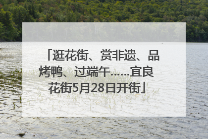 逛花街、赏非遗、品烤鸭、过端午……宜良花街5月28日开街