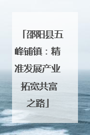邵阳县五峰铺镇：精准发展产业 拓宽共富之路