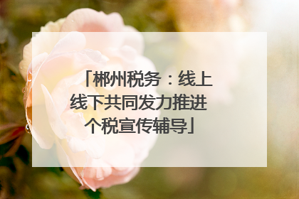 郴州税务：线上线下共同发力推进个税宣传辅导