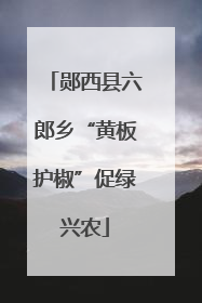 郧西县六郎乡“黄板护椒”促绿兴农