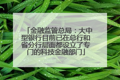 金融监管总局：大中型银行目前已在总行和省分行层面都设立了专门的科技金融部门
