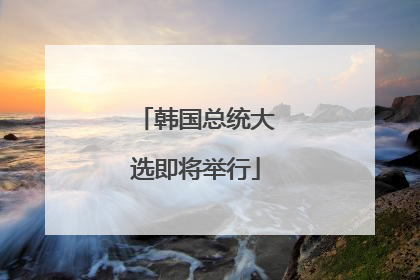 韩国总统大选即将举行