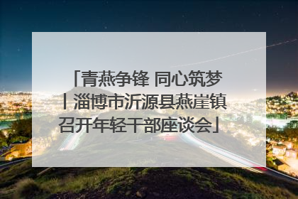 青燕争锋 同心筑梦丨淄博市沂源县燕崖镇召开年轻干部座谈会
