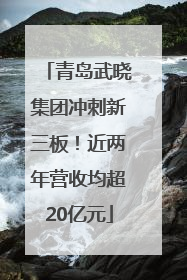 青岛武晓集团冲刺新三板！近两年营收均超20亿元
