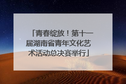 青春绽放！第十一届湖南省青年文化艺术活动总决赛举行